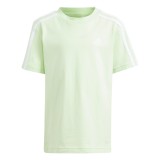 adidas sportswear LK 3S CO TEE IS2760 Green Image 
