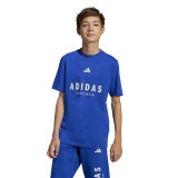 adidas sportswear J ALLSZN GFX T JC7615 Royal Blue Image 
