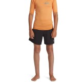 QUIKSILVER EVERYDAY UPF50 SS YOUTH AQBWR03064-NJF0 Orange Image 2