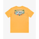 QUIKSILVER EVO AQUA WILD SS YTH EQBZT04835-NGR0 Yellow Image 0