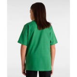 VANS CHECKER DROP SS VN000MK6BR1-BR1 Green Image 0
