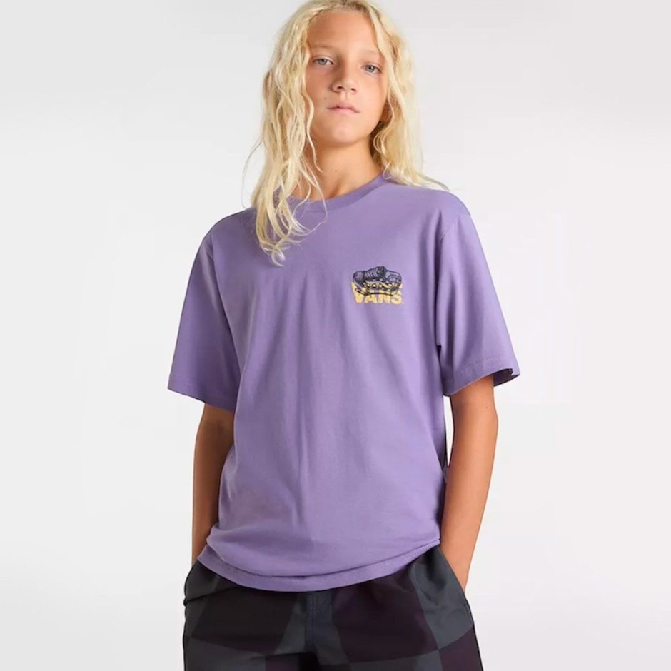 VANS OLD SKOOL SS VN000MKU6PH-6PH Purple