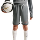 Παιδικό Σορτς Ποδοσφαίρου Γκρι - Nike Academy Εικόνα 