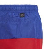 adidas Performance CB SWIM SHORTS IC7698 Colorful Image 2