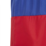 adidas Performance CB SWIM SHORTS IC7698 Colorful Image 3
