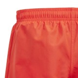 adidas Performance YB BOS SHORTS IR5690 Orange Image 3