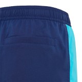 Παιδικό Μαγιό Βερμούδα Πολύχρωμο - adidas Performance Colorblock Εικόνα 2