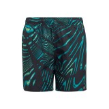 adidas Performance SOULEAF SHO Y HC9638 Colorful Image 