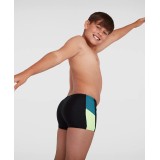 SPEEDO DIVE AQUASHORT 12872-G029J Μαύρο Εικόνα 4