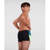 SPEEDO DIVE AQUASHORT 12872-G029J Μαύρο Εικόνα 5