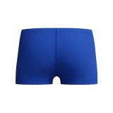 Kids' Swim Shorts Royal Blue - Speedo Medley Logo Aquashort Image 0