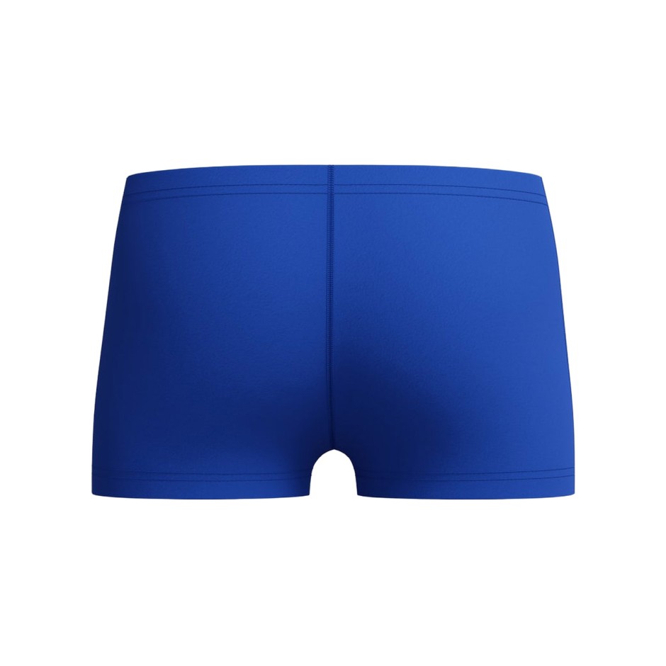 Kids' Swim Shorts Royal Blue - Speedo Medley Logo Aquashort
