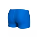 ARENA BOY'S DIM LIGHT SWIM SHORT 008147-806 Blue Image 0
