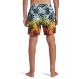 QUIKSILVER EVERYDAY MIX VOLLEY YTH 14 AQBJV03053-RQC6 Colorful Image 0