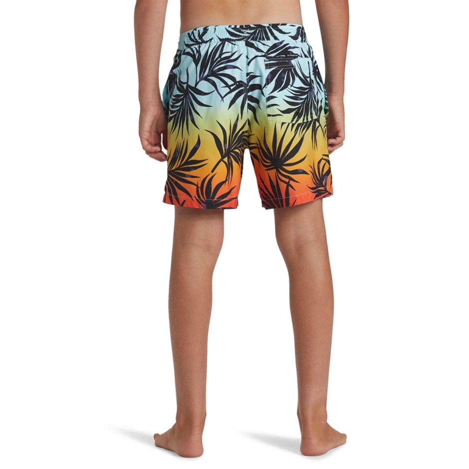 QUIKSILVER EVERYDAY MIX VOLLEY YTH 14 AQBJV03053-RQC6 Colorful
