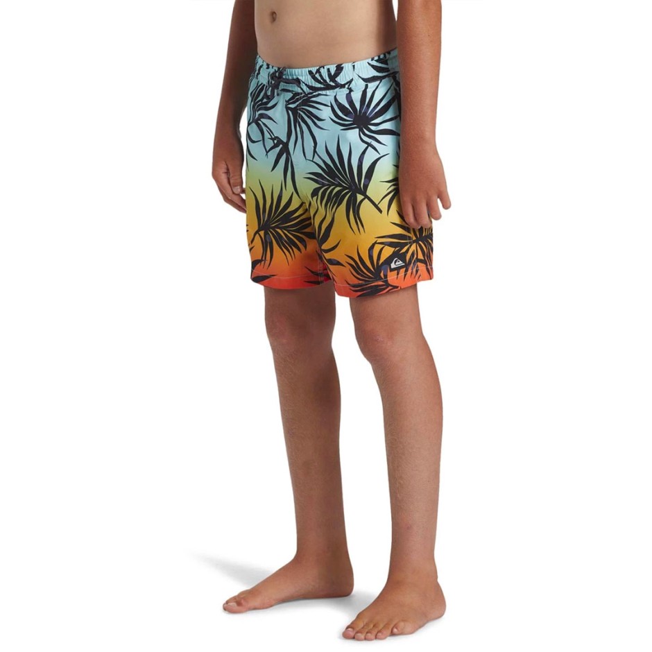 QUIKSILVER EVERYDAY MIX VOLLEY YTH 14 AQBJV03053-RQC6 Colorful