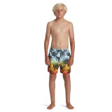 QUIKSILVER EVERYDAY MIX VOLLEY YTH 14 AQBJV03053-RQC6 Colorful Image 3