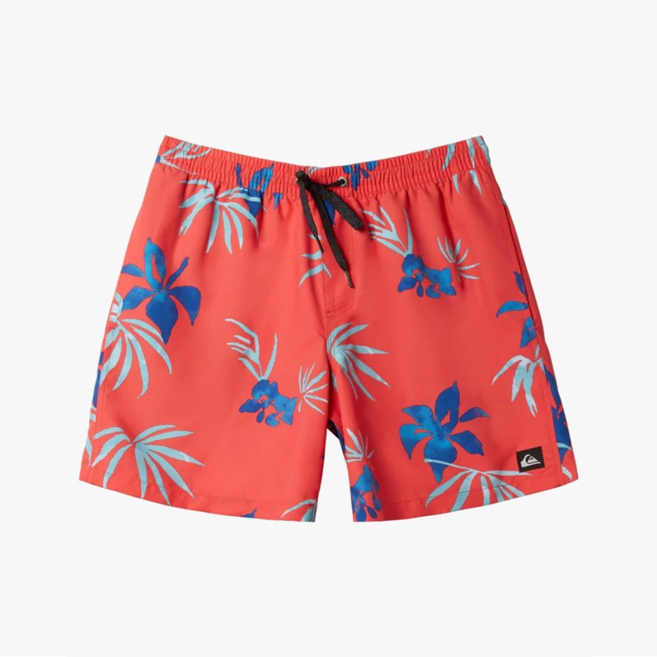 QUIKSILVER EVERYDAY MIX VOLLEY YTH 14 AQBJV03053-RQC6 Colorful