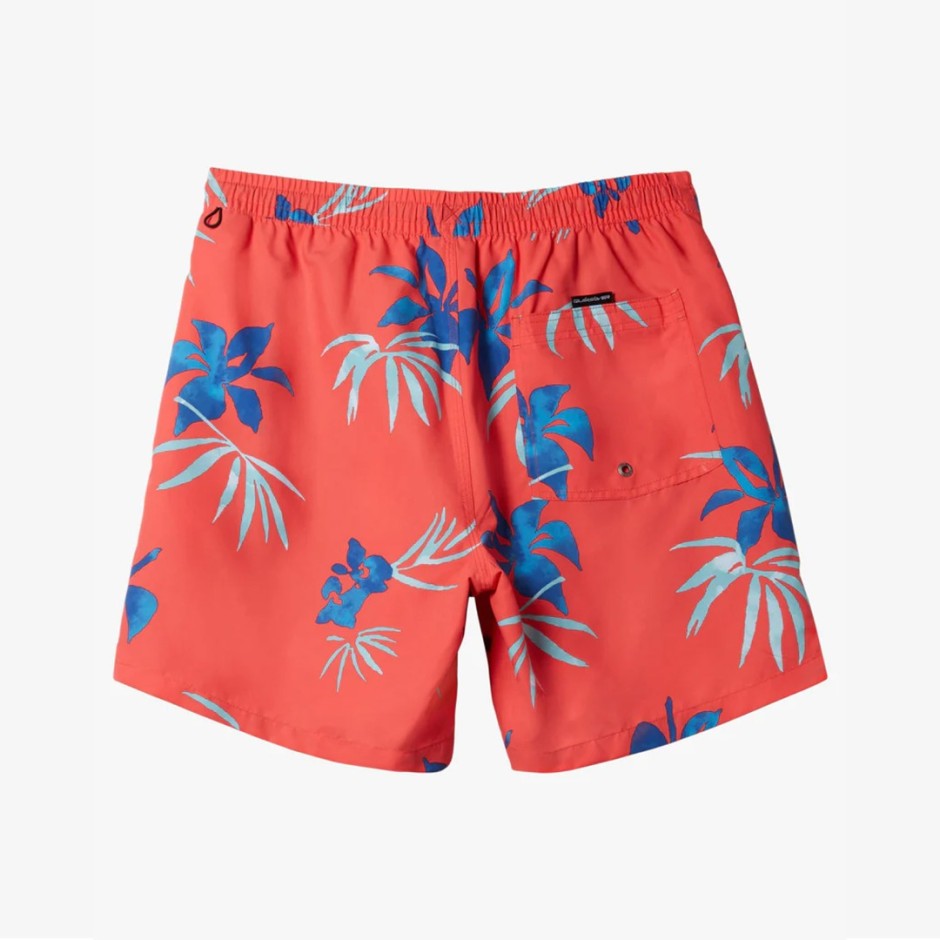 QUIKSILVER EVERYDAY MIX VOLLEY YTH 14 AQBJV03053-RQC6 Colorful