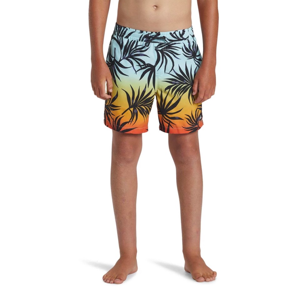 QUIKSILVER EVERYDAY MIX VOLLEY YTH 14 AQBJV03053-RQC6 Colorful