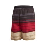 adidas Performance DFB CLX SH Y FS2323 Πολύχρωμο Εικόνα 0