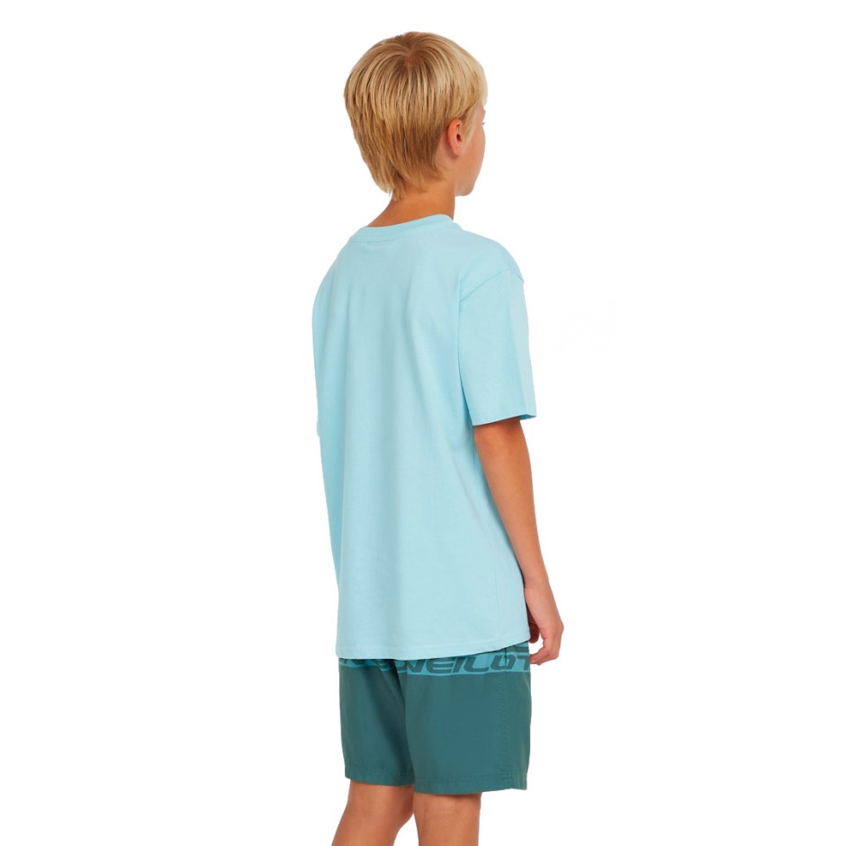 O'NEILL CALI STRIPE 14 SWIMSHORTS 4800090-35171 Blue