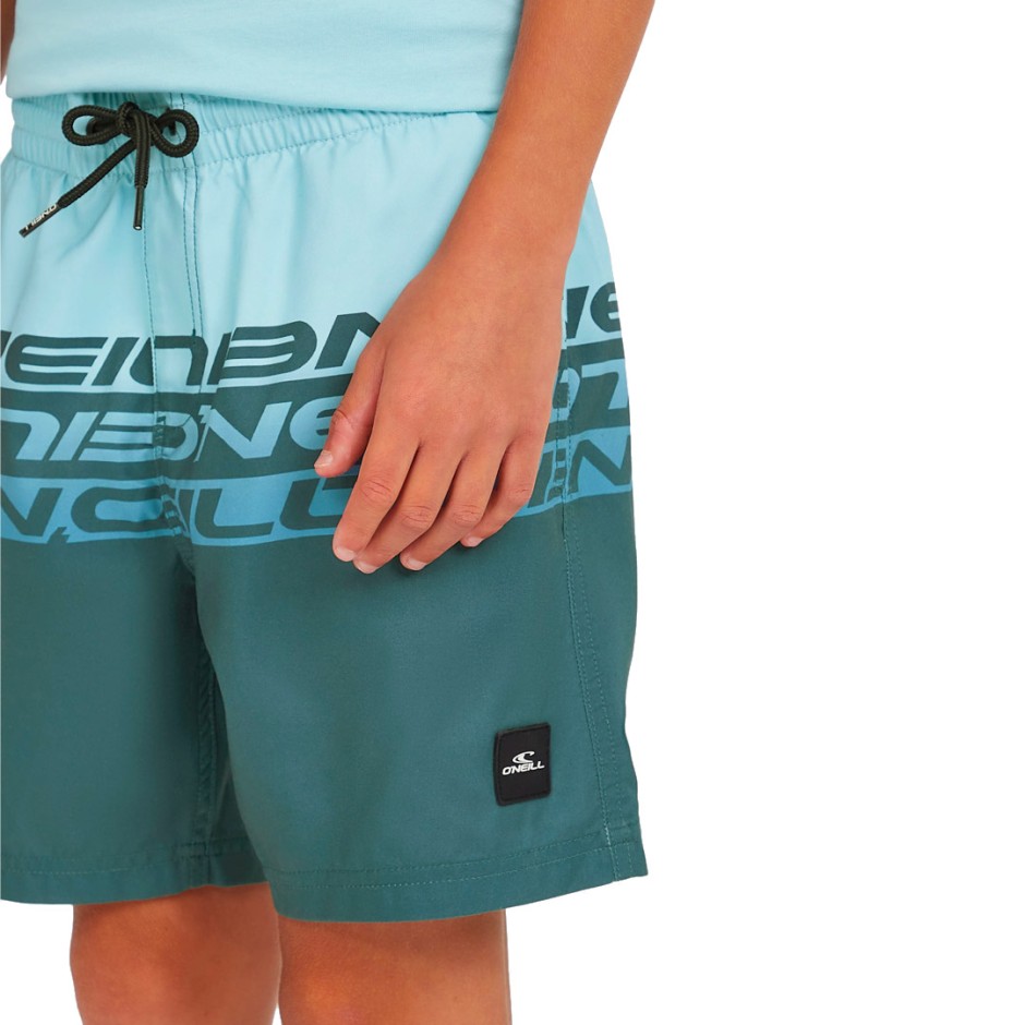 O'NEILL CALI STRIPE 14 SWIMSHORTS 4800090-35171 Blue
