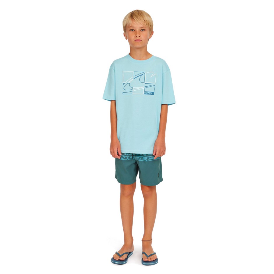 O'NEILL CALI STRIPE 14 SWIMSHORTS 4800090-35171 Blue