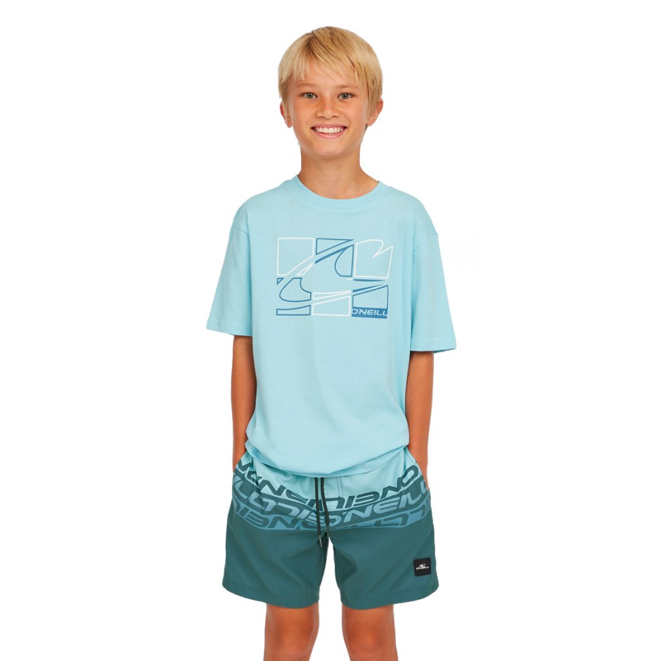 O'NEILL CALI STRIPE 14 SWIMSHORTS 4800090-35171 Blue