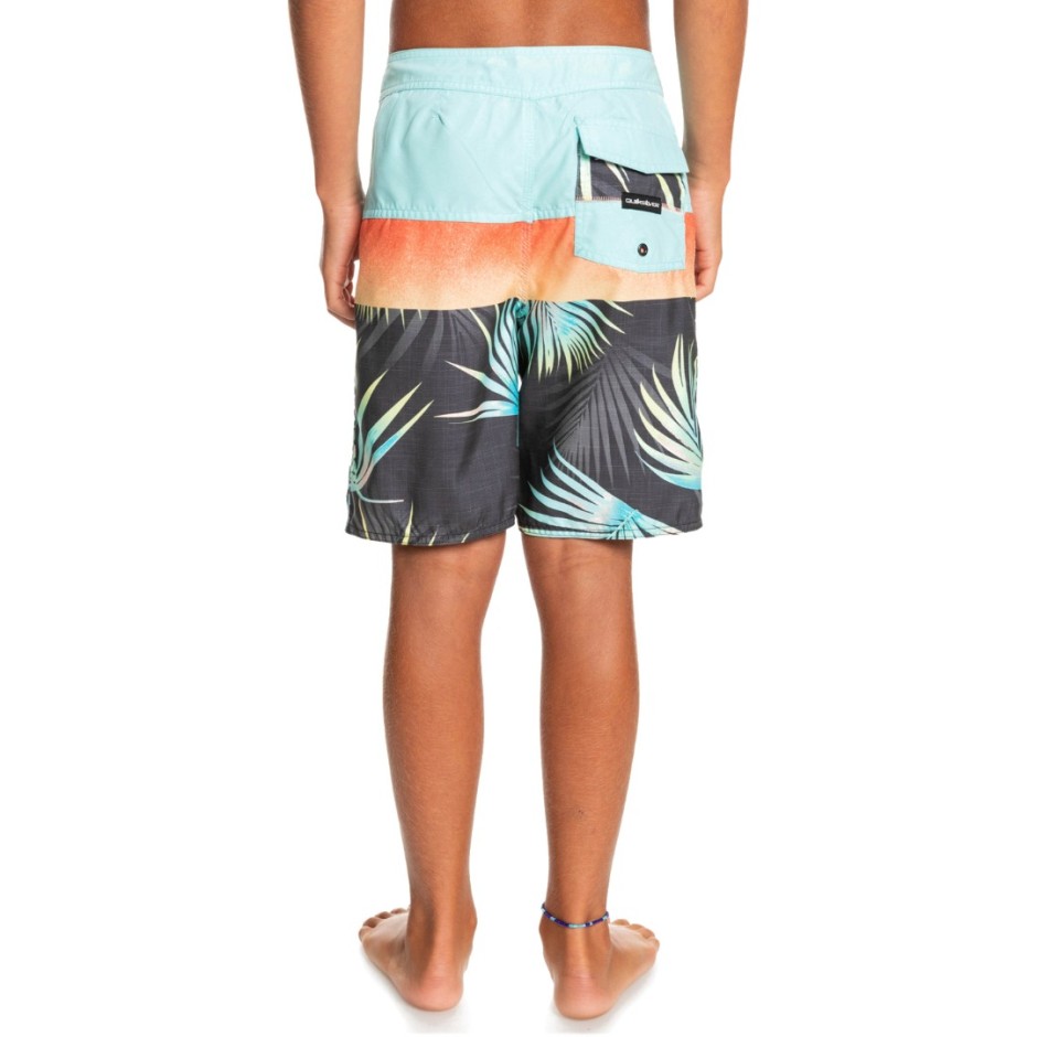 QUIKSILVER EVERYDAY PANEL YTH 17 EQBBS03617-KTA6 Πολύχρωμο