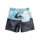 QUIKSILVER BUTT LOGO 14" Πολύχρωμο Εικόνα 0