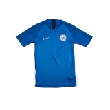 NIKE YOUTH ATROMITOS FC AJ1027-463 Blue Image 