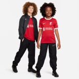 NIKE LIVERPOOL FC 2023/24 STADIUM HOME DX2766-688 Red Image 8