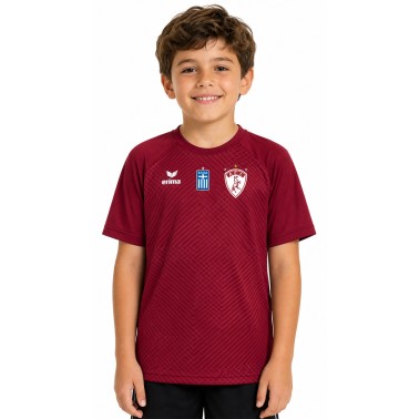 Παιδική Εμφάνιση Ποδοσφαίρου Βυσσινί - AEL FC Erima Home Jersey