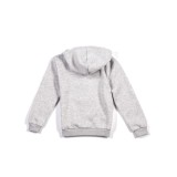 GSA SUPERCOTTON ZIPPER HOODIE 17-38003-05 FROST GRAY Γκρί Εικόνα 0