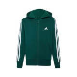Παιδική Ζακέτα Κυπαρισσί - adidas Sportswear Essentials Εικόνα 
