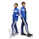 Παιδικό Σετ Πολύχρωμο - adidas Sportswear Seasonal Essentials Tiberio 3-Stripes Tricot Εικόνα 