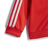 adidas sportswear I 3S SHINY TS IZ4991 Red Image 4