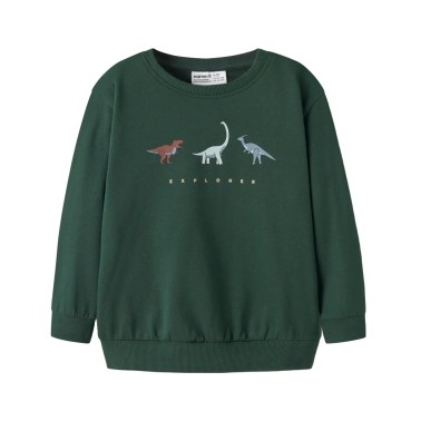 Kids' Sweatshirt Green - Name It Nmmnilius