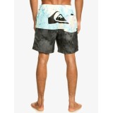 QUIKSILVER BUTT LOGO VOLLEY BOY 12 Πολύχρωμο Εικόνα 0