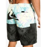 QUIKSILVER BUTT LOGO VOLLEY BOY 12 Πολύχρωμο Εικόνα 1