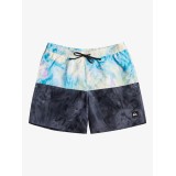 QUIKSILVER BUTT LOGO VOLLEY BOY 12 Πολύχρωμο Εικόνα 5
