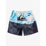 QUIKSILVER BUTT LOGO VOLLEY BOY 12 Πολύχρωμο Εικόνα 6