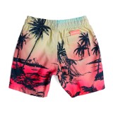 QUIKSILVER EVERYDAY PARADISE VL BOY 13 EQKJV03235-GCZ6 Colorful Image 0