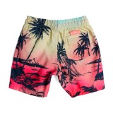 QUIKSILVER EVERYDAY PARADISE VL BOY 13 EQKJV03235-GCZ6 Colorful