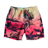 QUIKSILVER EVERYDAY PARADISE VL BOY 13 EQKJV03235-GCZ6 Colorful Image 