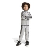 Παιδικό Σετ Φόρμας Γκρι - adidas Originals Εικόνα 