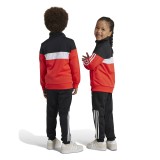 adidas sportswear LK TIBERIO TS IY1806 Colorful Image 4