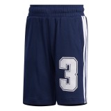 adidas Performance GRAPHIC TRACK SUIT FM9826 Blue Image 1