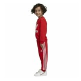 adidas Originals CREW SWEATSHIRT SET ED7729 Κόκκινο Εικόνα 1